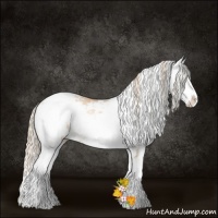 Horse Color:Gold Champagne Pearl Sabino Rabicano