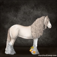 Horse Color:White Spotted Gold Champagne Pearl Splash Tobiano Rabicano