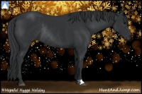 Horse Color:Black Rabicano 