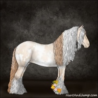 Horse Color:White Spotted Gold Champagne Pearl Dun Rabicano 