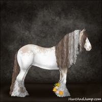 Horse Color:White Spotted Grullo Pearl Rabicano