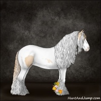 Horse Color:Gold Champagne Pearl Splash Tobiano