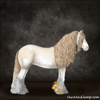 Horse Color:Gold Champagne Pearl Dun Splash Frame Rabicano 
