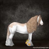 Horse Color:Gold Champagne Pearl Splash Frame 