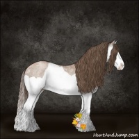 Horse Color:Black Ice Pearl Splash 