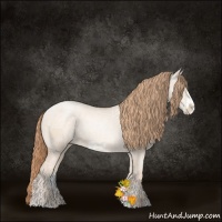 Horse Color:Gold Champagne Ice Pearl Dun Frame 