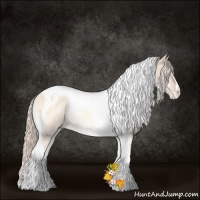 Horse Color:Gold Cream Champagne Pearl Onyx Tobiano Rabicano