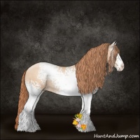 Horse Color:White Spotted Classic Champagne Pearl Rabicano 
