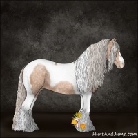 Horse Color:Silver Brown Ice Pearl Tobiano