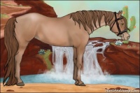 Horse Color:Brown Pearl 