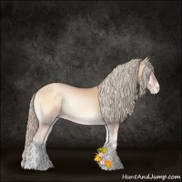 Horse Color:Palomino Pearl Onyx 