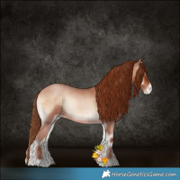 Horse Color:Brown Roan Pearl Onyx 