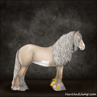 Horse Color:Silver Grullo Roan Pearl Frame 