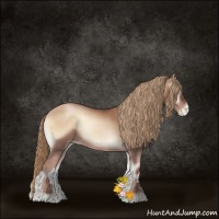 Horse Color:Liver Red Onyx Pearl 