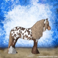 Horse Color:Liver Chestnut Appaloosa 