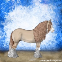 Horse Color:Red Dun Splash 