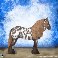 Horse Color:Liver Red Roan Appaloosa Rabicano