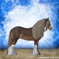Horse Color:Liver Chestnut 