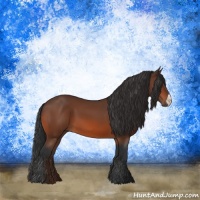 Horse Color:Brown 