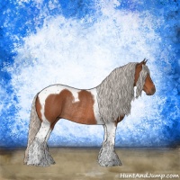 Horse Color:Silver Brown Tobiano Rabicano