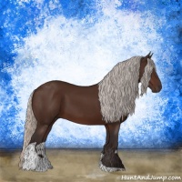 Horse Color:Silver Brown Tobiano Rabicano 