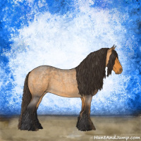 Horse Color:Buckskin Roan 