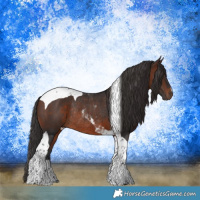 Horse Color:Brown Tobiano Rabicano 