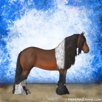 Horse Color:Brown Tobiano Rabicano