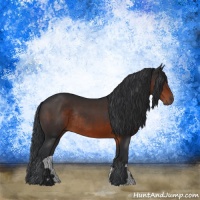 Horse Color:Brown Rabicano
