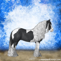 Horse Color:Black Splash Tobiano Rabicano 