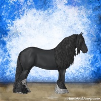 Horse Color:Black Tobiano Rabicano