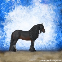 Horse Color:Brown Sabino Rabicano 