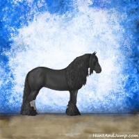 Horse Color:Black Sabino Rabicano 