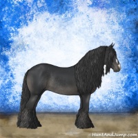 Horse Color:Black Rabicano 