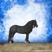 Horse Color:Black Sabino Rabicano 