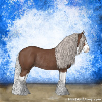 Horse Color:Silver Black Splash Rabicano 