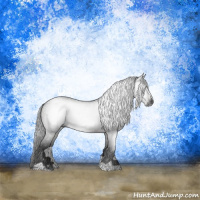 Horse Color:Gray Brown Sabino Rabicano 