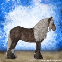 Horse Color:Silver Black Ice Sabino 