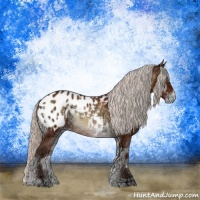 Horse Color:Silver Brown Ice Onyx Sabino Appaloosa 