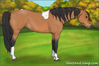 Horse Color:Bay Roan Tobiano 