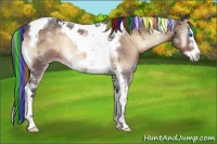 Horse Color:Painted Brown Ice Onyx Splash Tobiano Frame Rabicano