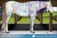 Horse Color:Painted Brown Ice Tobiano Frame Rabicano 