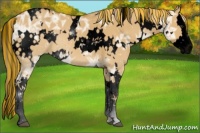 Horse Color:Void Painted White Spotted Palomino Ice Dun Splash 