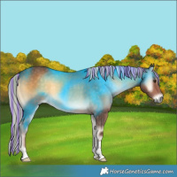 Horse Color:Painted Chocolate Palomino Onyx 