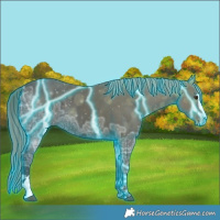 Horse Color:Thunderstruck Liver Chestnut Ice Sabino 