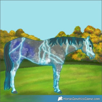 Horse Color:Thunderstruck White Spotted Liver Chestnut Ice 
