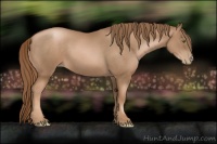 Horse Color:Liver Chestnut Pearl 