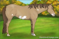 Horse Color:Classic Cream Champagne Frame