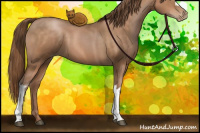 Horse Color:Brown Pearl