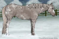 Horse Color:Silver Black Ice 